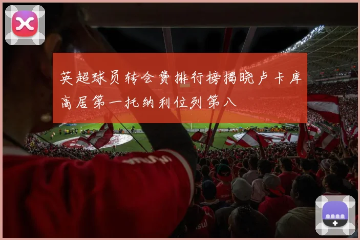 英超球员转会费排行榜揭晓卢卡库高居第一托纳利位列第八