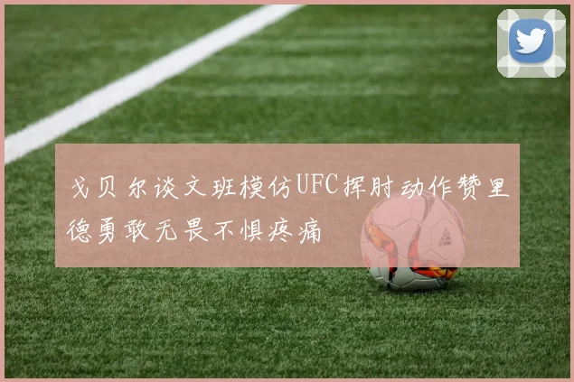 戈贝尔谈文班模仿UFC挥肘动作赞里德勇敢无畏不惧疼痛